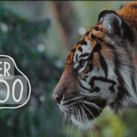 The Beautiful Bungalow Amazing Location For Chester & Zoo Wervin Luaran gambar