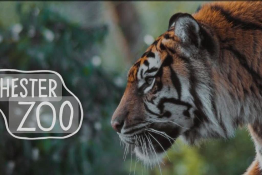 The Beautiful Bungalow Amazing Location For Chester & Zoo Wervin Luaran gambar